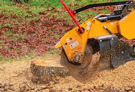 Best Tree and Shrub Care  in Experiment, GA