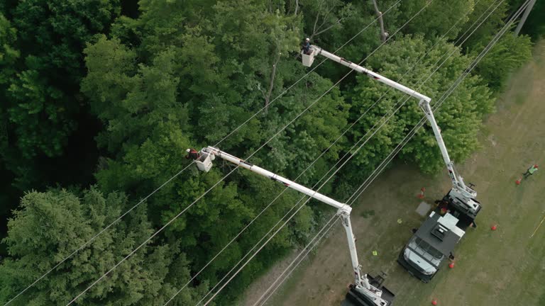 Best Tree Trimming and Pruning  in Experiment, GA